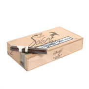 Davidoff Millennium Robusto
