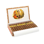 Bolivar Belicosos Finos