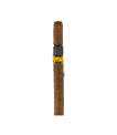 Solo Cigar only back Cohiba Exquisitos (5x5)
 thumbnail