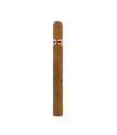 Solo Cigar Only Back
 thumbnail