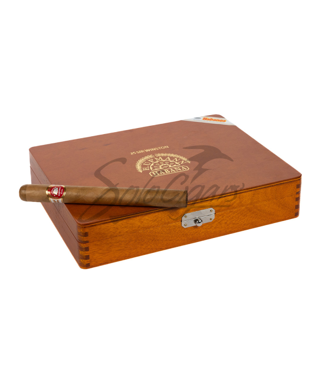 Solo Cigar On Top
