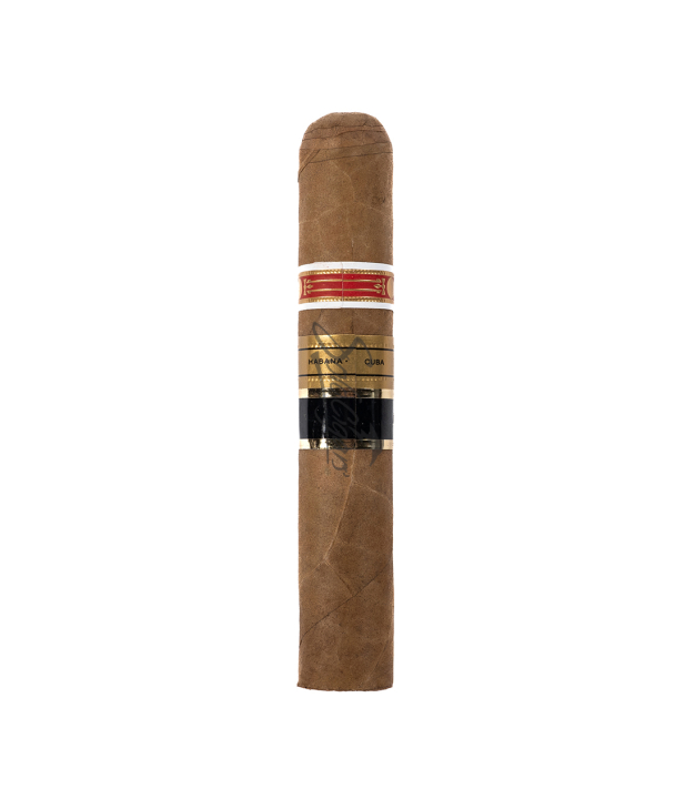 Solo Cigar only back
