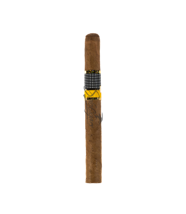 Solo Cigar only back Cohiba Exquisitos (5x5)
