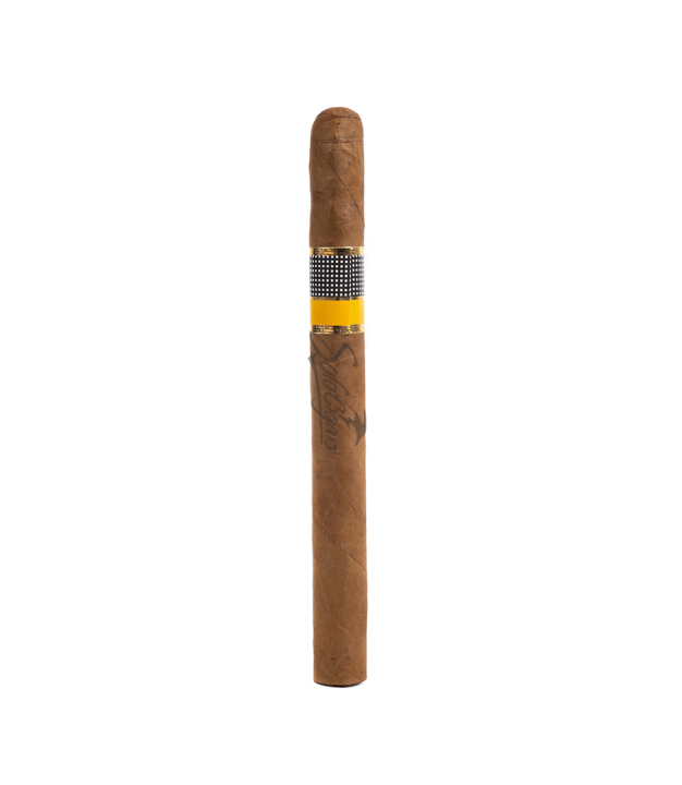 Cohiba Siglo V