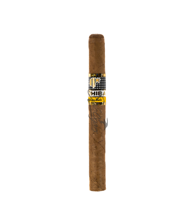 Solo Cigar only front Cohiba Exquisitos (5x5)
