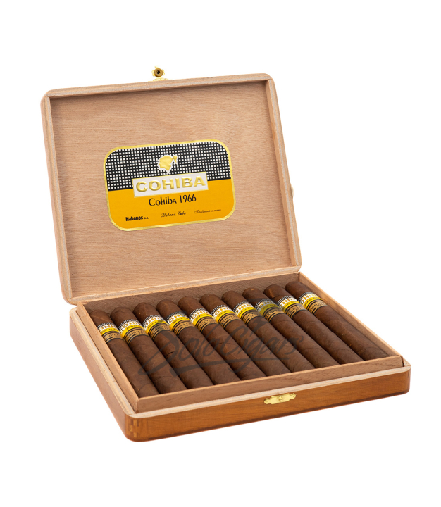 Solo Open Box
