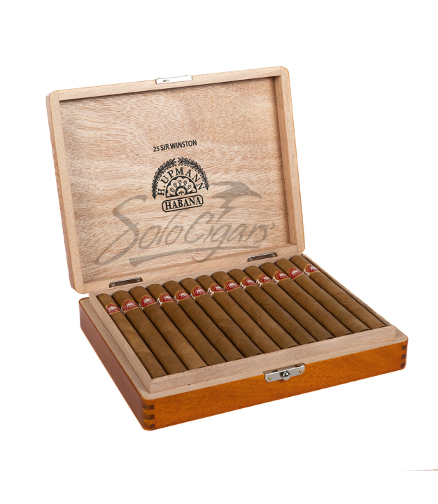 Solo Open Box
